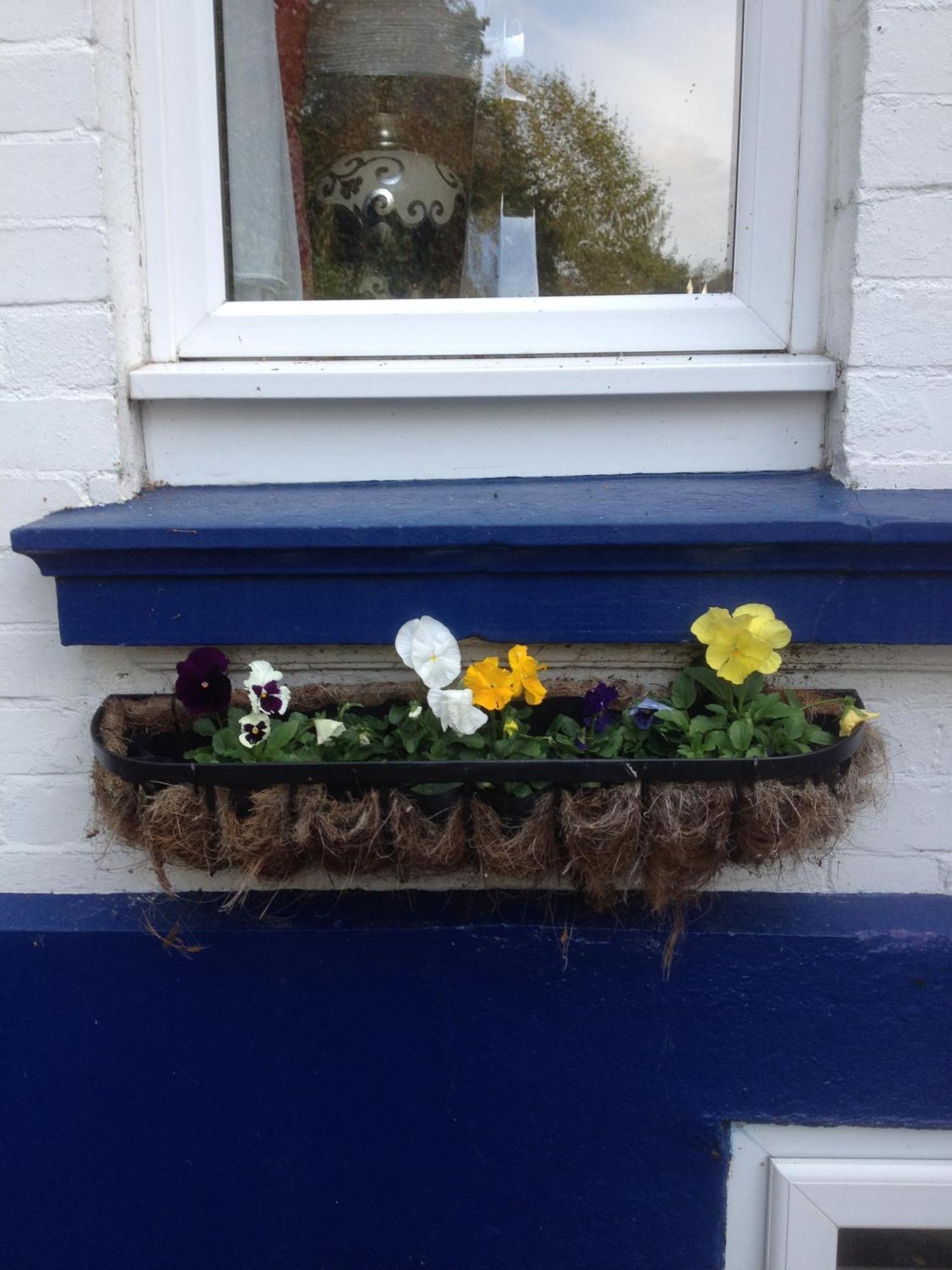 The Brandize Guest House Torquay Exterior foto